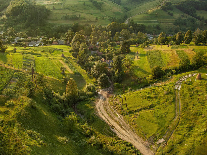 Natur in den Bergen der Westukraine