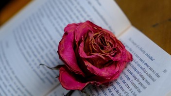 Buch mit verwelkter Rose