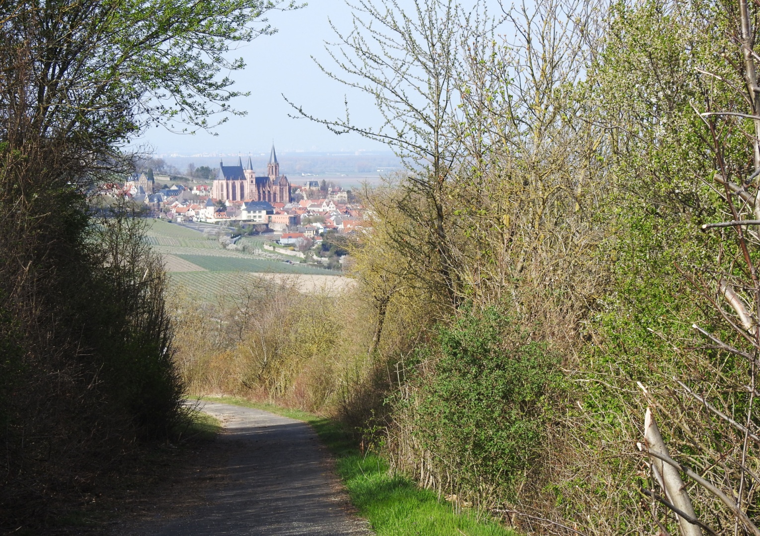 "Lutherweg 1521" bei Oppenheim 