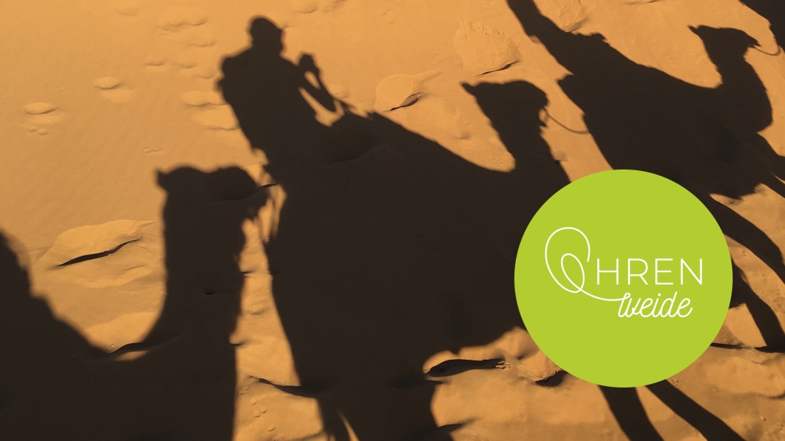 Schatten einer Karawane aus Kamelen in der Wüste