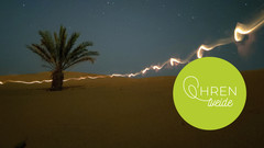 Wüstenlandschaft mit Palme bei Nacht und Lichtstreif