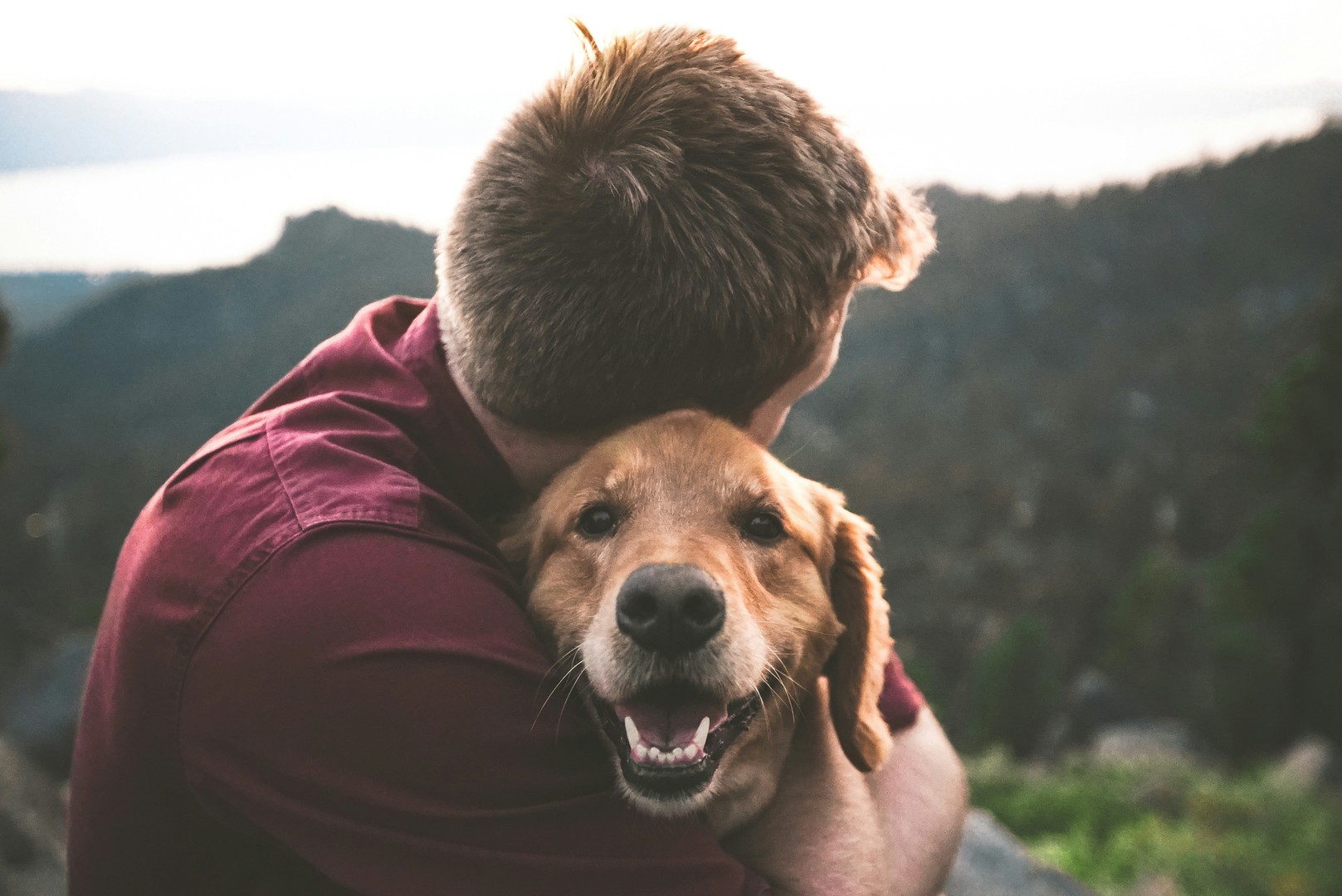 Mann knuddelt Hund