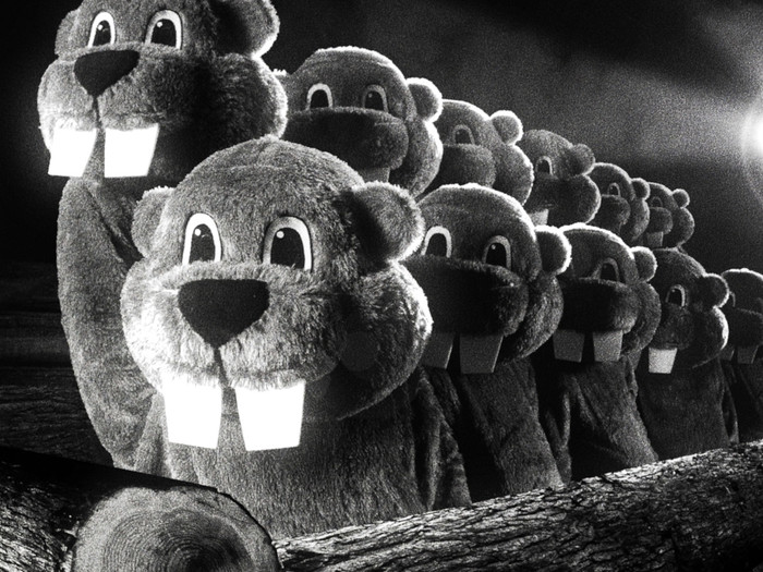 Filmszene 'Hundreds of beavers'