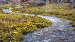 Ein Fluss windet sich durch die Landschaft