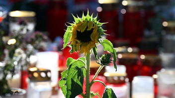 Blumen und Kerzen sind in der Nähe des Tatortes abgelegt worden.