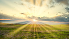 Landschaft mit einer Wiese von Sonnenstrahlen bedeckt.