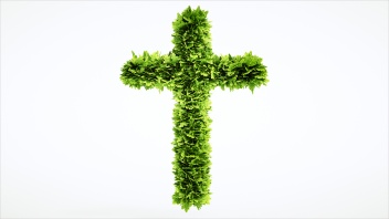 Grünes Kreuz mit Pflanzen