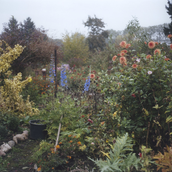 Ein Garten in Werben