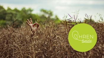 Hand mit "OK"-Geste im Getreidefeld