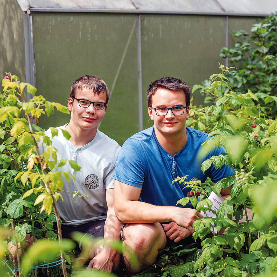 Die Brüder Michael und Johann Rosch beobachten die Pflanzenwelt