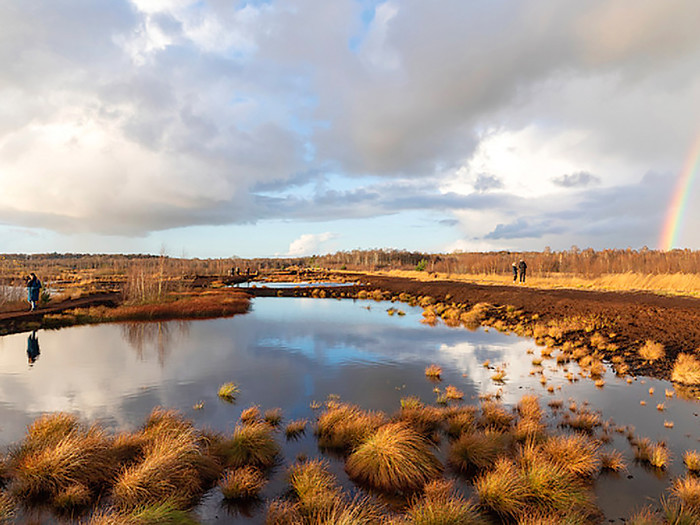 Himmelmoor, Schleswig-Holstein