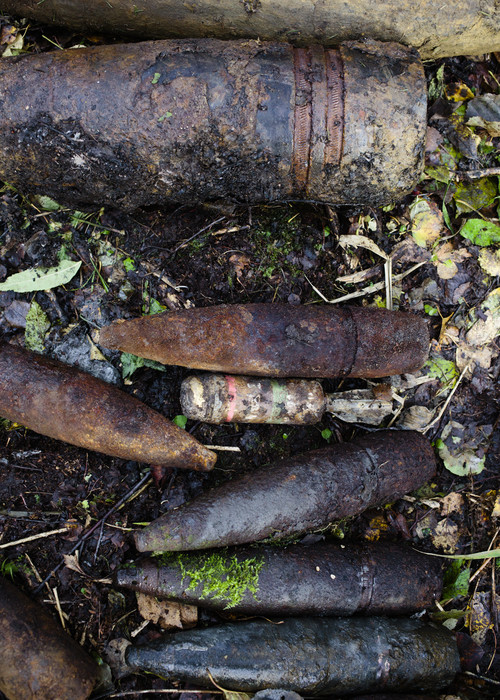 geborgene Bomben im Wald bei Anvere