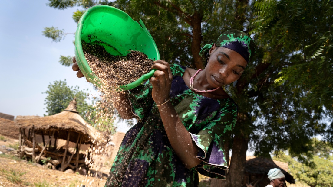 Kleinbäuerin in Burkina Faso trennt klimarobustes Saatgut von der Spreu