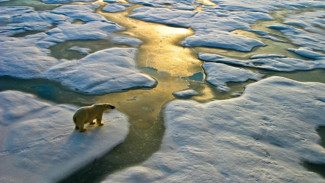 Eisbär
Einer interreligiöser Leitgedanke für den Umweltschutz ist, dass der Mensch Verantwortung für den Erhalt der Schöpfung Gottes trägt.