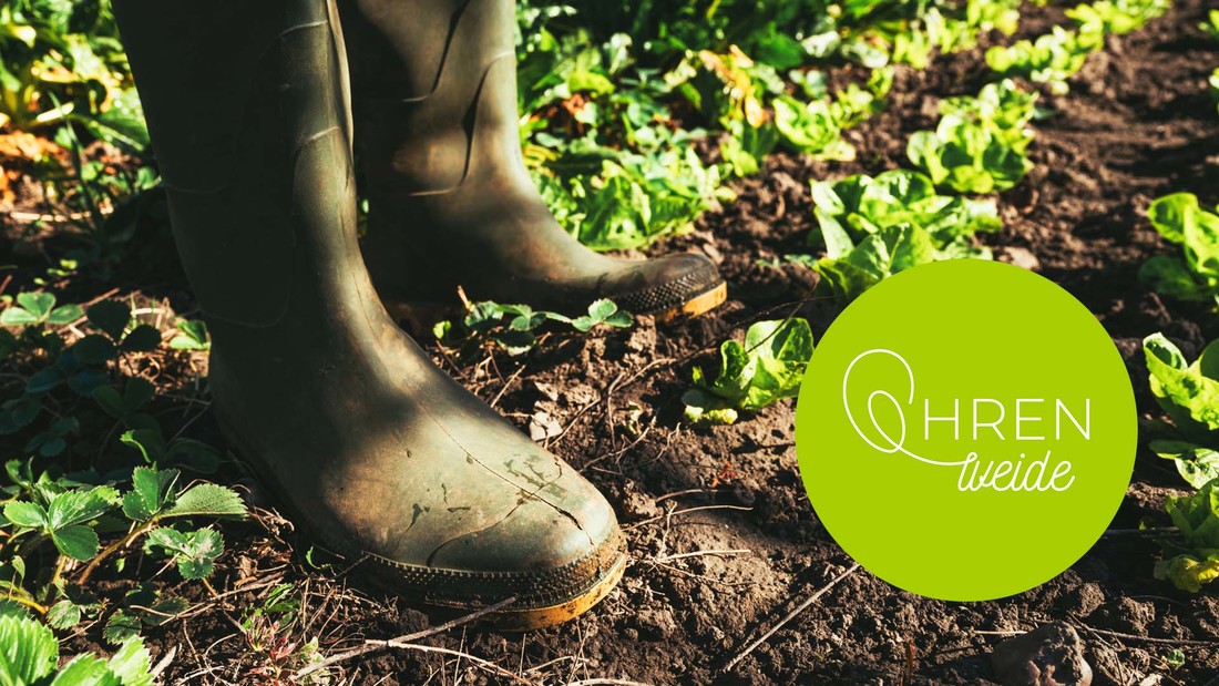 Auf einem Feld stehen Gummistiefel zwischen zarten Pflanzen