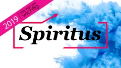 Best of 2019 im Spiritus Blog 