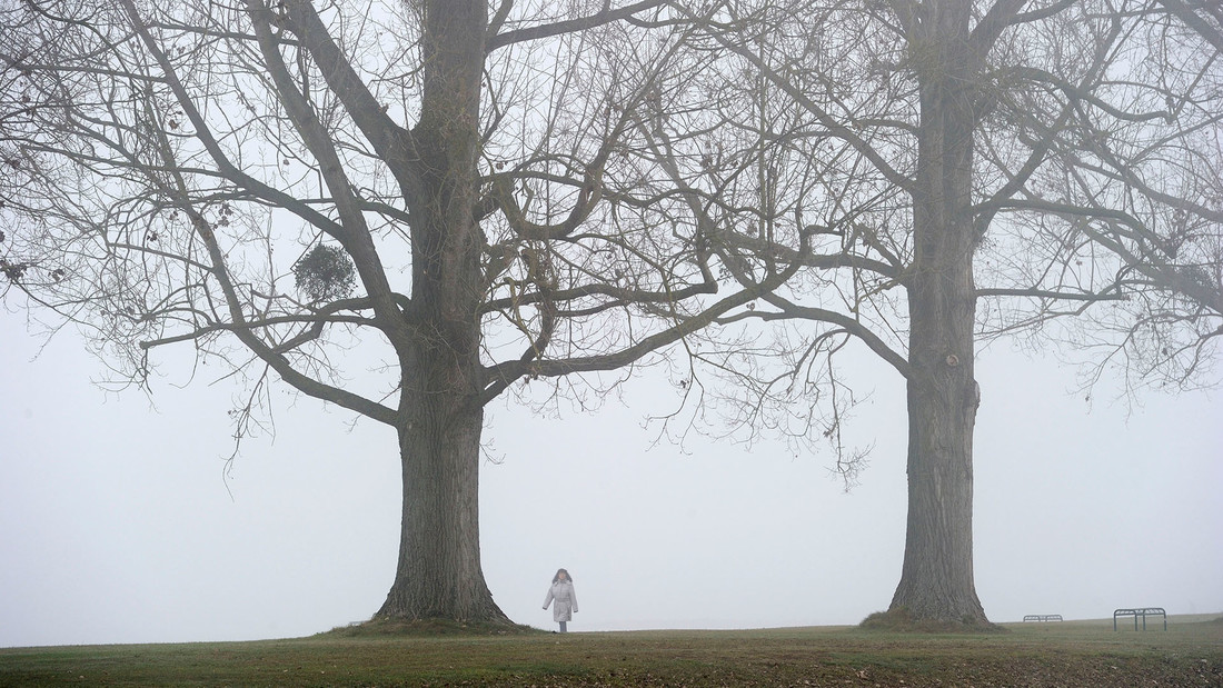 Eine Frau spaziert im Nebel unter Bäumen.