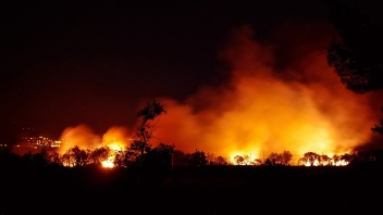 Silhouette von brennenden Wäldern in der Nacht