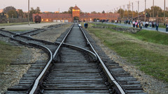 Gleise führen zum Konzentrationslager Auschwitz-Birkenau