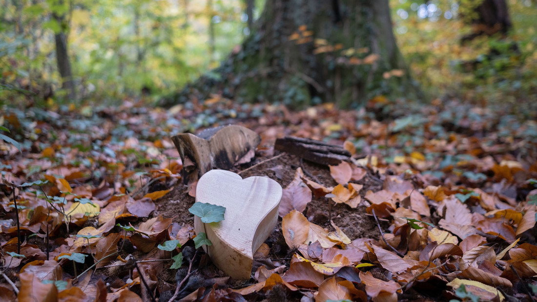 Grabschmuck liegt auf dem Waldboden vor einem Baum im Bestattungswald 