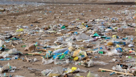Plastikmüll liegt wild am Strand