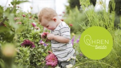 Kleinkind schaut eine Blüte im Garten an