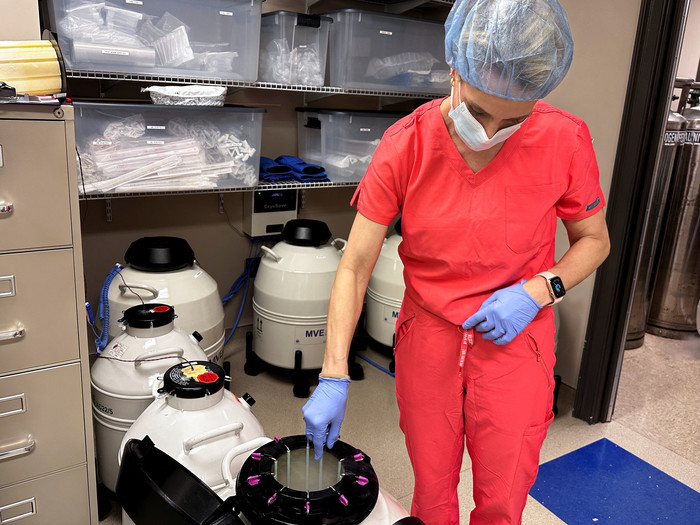 Lynn Curry, Krankenschwester für Huntsville Reproductive Medicine, P.C., hebt gefrorene Embryonen aus dem Dewar für die IVF-Kryokonservierung in Madison, Alabama