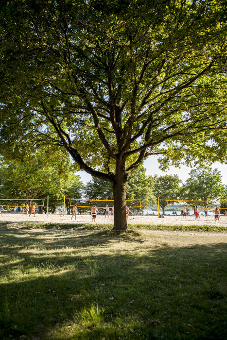 Langener Waldsee