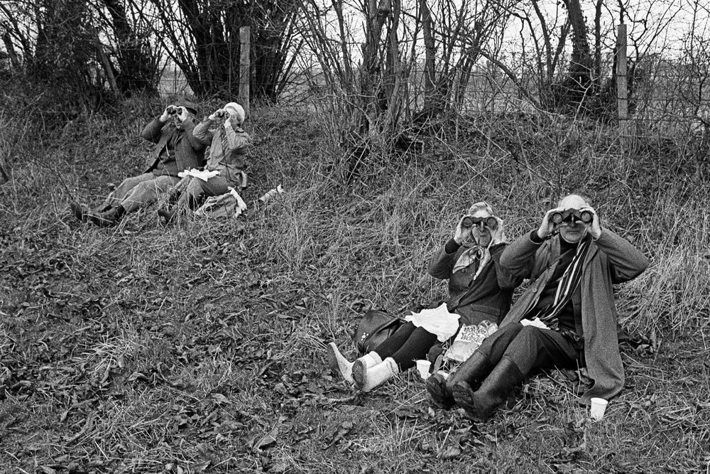 GB. England. Surrey. Surrey Bird Club. 1972