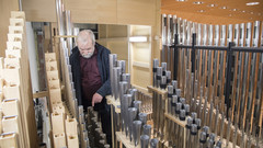 Herr Professor Christoph Bossert steht im Inneren der Orgel in der Würzburger Musikhochsschule