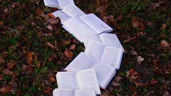 Bücher liegen auf der Wiese wie ein Weg