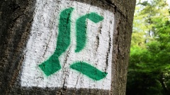 Markierung von einem Lutherweg mit einem gruünen "L" an einem Baum.