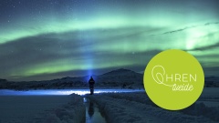 Person im Schnee schaut auf grün leuchtendes Polarlicht am dunkelblauen Himmel