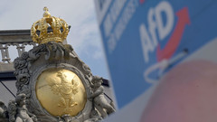 Ein Wahlplakat der AfD vor dem Wappen Brandenburgs.