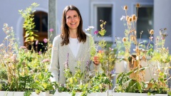 Katrin Wittek, 42, hat 231 Wildpflanzen auf ihrem Balkon