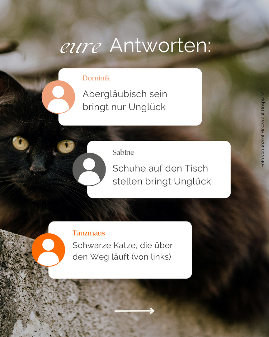 schwarze Katze