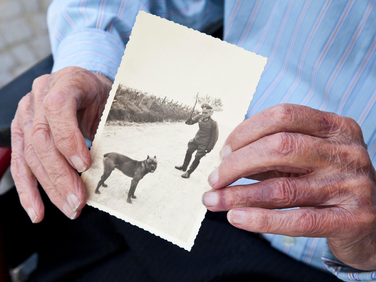 Wehrmachtsoldat mit Hund auf einem alten, historischen Foto, alte Hand mit einem schwarzweißen Erinnerungsfoto, Altenheim 