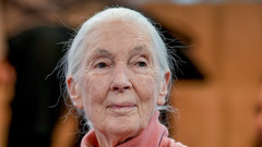 Portait von Jane Goodall mit Rollkragenpullover.