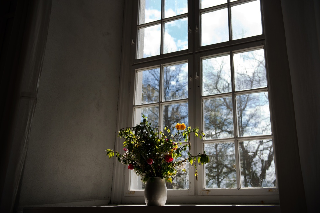 Blumen stehen auf einer Fensterbank in der Brüdergemeinde Herrnhut. 