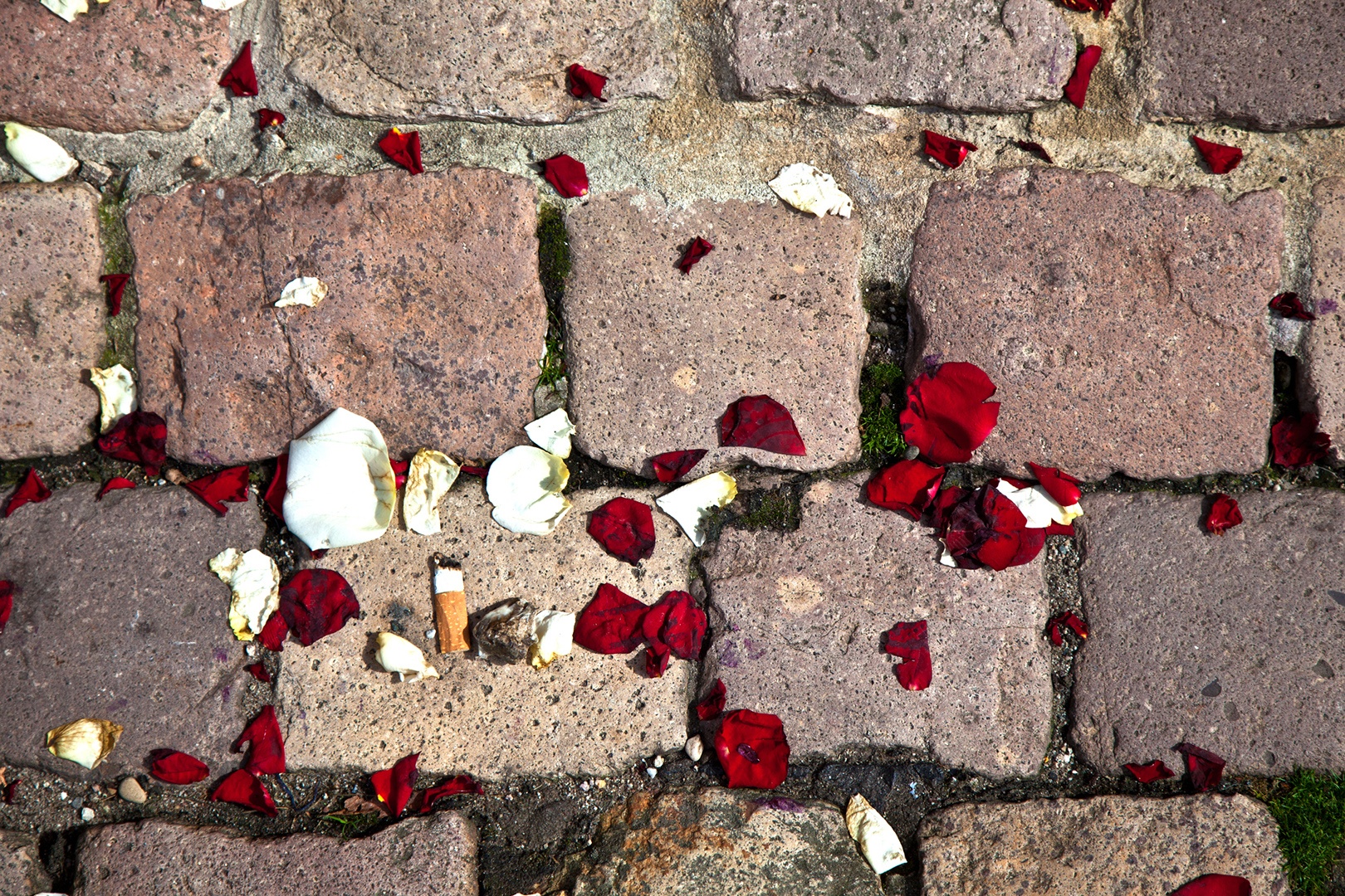 Steinboden, auf dem eine Zigarette zwischen Rosenblättern liegt