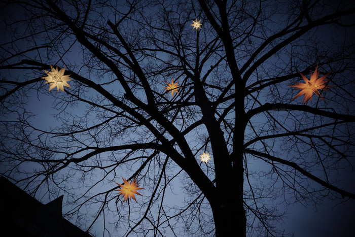 Winterbaum mit Herrnhuter Sternen