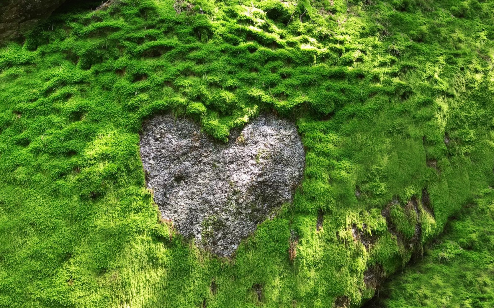 Moosfelsen mit einem Herzstruktur aus Granit