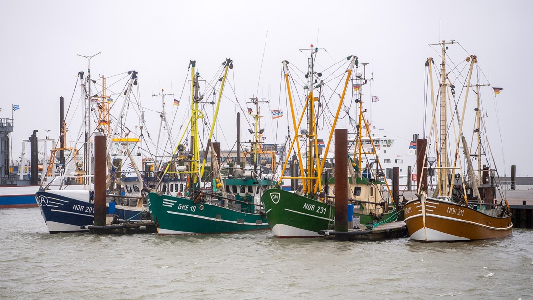 Krabbenkutter liegen in Norddeich im Hafen