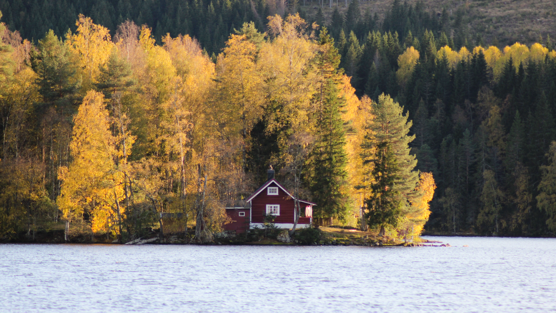 Ein Haus zwischen bunten Herbstbäumen, umgeben von einem See.