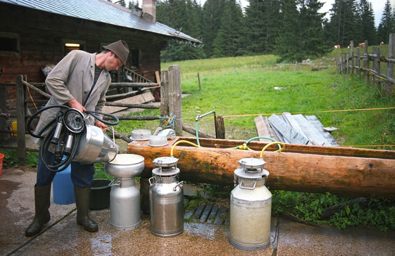 Allein auf der Alm