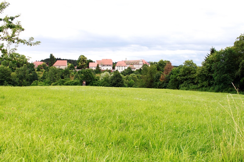 Kloster Kirchberg inmitten von Wiesen und Feldern