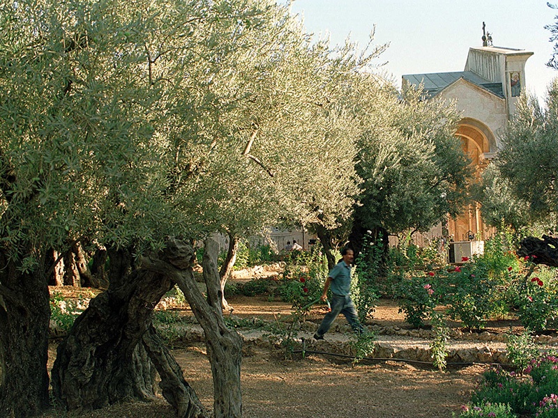 Garten Gethsemane