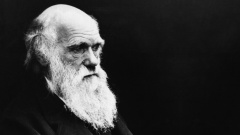 Charles Darwin (Foto um 1875)