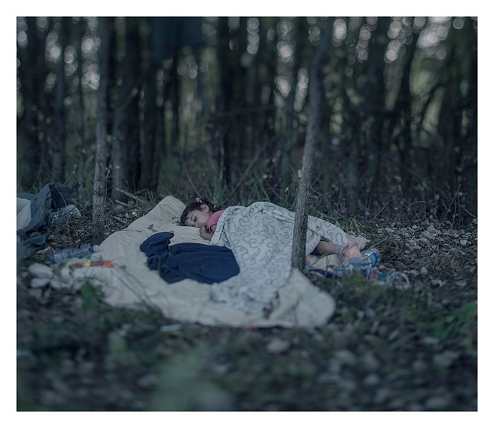Die fünfjährige Lamar schläft auf dem Waldboden nahe Horgos in Serbien. 