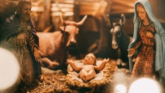 Propheten und frühen Christen zufolge sind Ochs und Esel die Ersten, die Gott als Kind in der Krippe erkennen.
